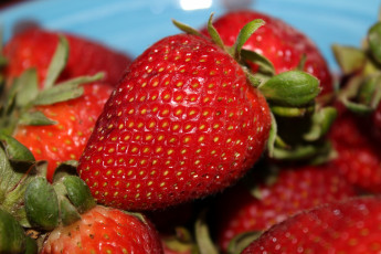 Картинка еда клубника +земляника