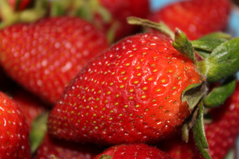 Картинка еда клубника +земляника