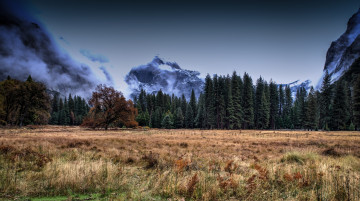 Картинка природа пейзажи простор