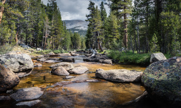 Картинка природа реки озера река лес