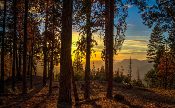 Картинка природа восходы закаты рассвет