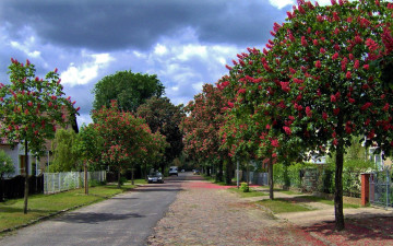 Картинка города -+улицы +площади +набережные дорога улица пригород дома каштаны