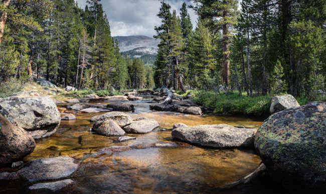 Обои картинки фото природа, реки, озера, река, лес