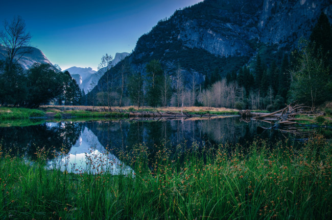 Обои картинки фото природа, реки, озера, река, лес