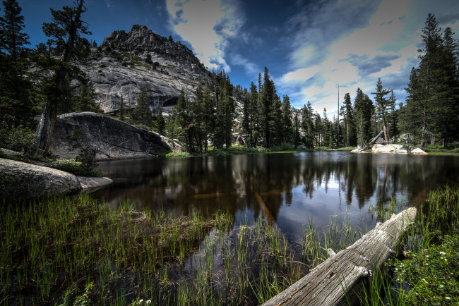 Обои картинки фото природа, реки, озера, река, лес