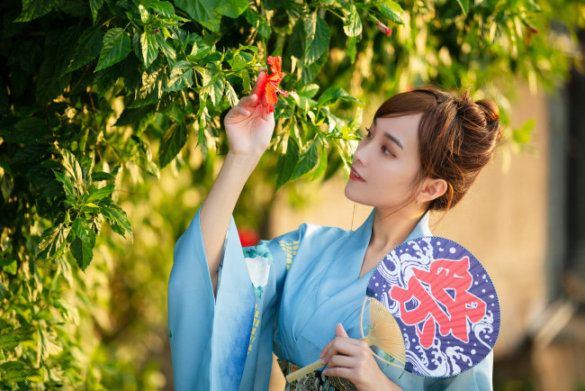 Обои картинки фото девушки, - азиатки, азиатка, кимоно, веер