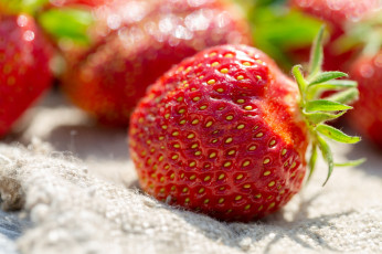 Картинка еда клубника +земляника ягоды