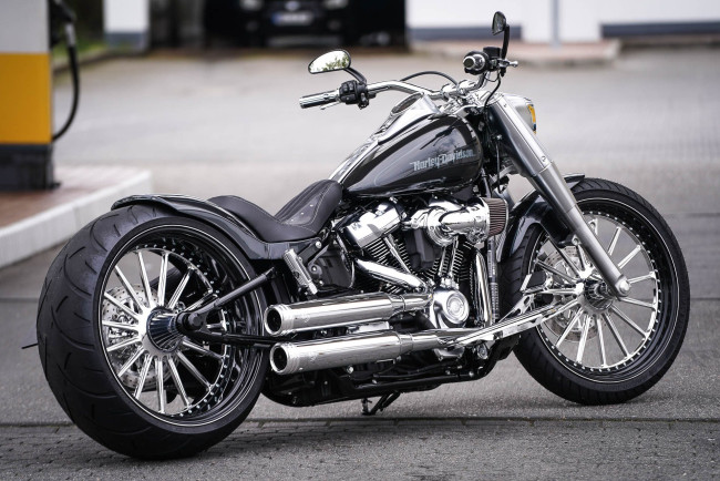 Обои картинки фото harley, мотоциклы, harley-davidson, thunderbike, customs, мотоцикл, байк