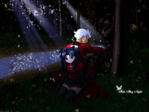 Картинка аниме fate stay night