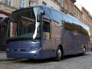 Картинка автомобили автобусы