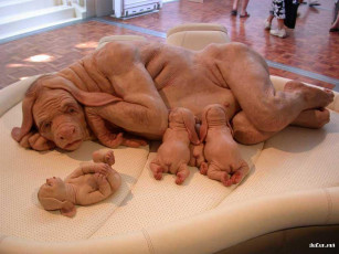 Картинка юмор приколы