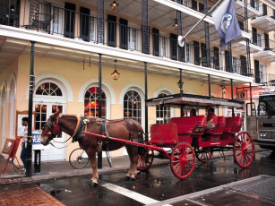 Картинка новый орлеан разное транспортные средства магистрали