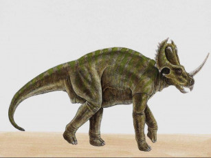 Картинка рисованные животные