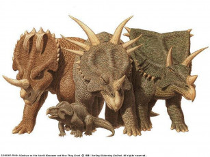 Картинка рисованные животные