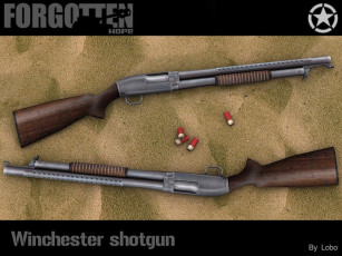 Картинка видео игры forgotten hope