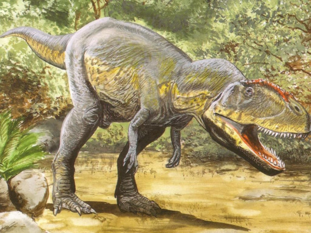 Обои картинки фото рисованные, животные