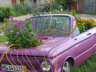 обоя цветы, разные, вместе, сиреневая, машина, бархатцы, петунии