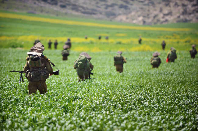 Обои картинки фото оружие, армия, спецназ, army