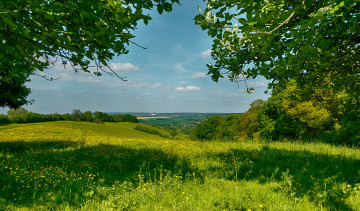 Картинка природа луга зелень