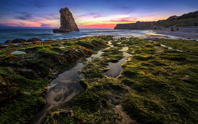 Обои картинки фото природа, побережье, берег, океан, отлив