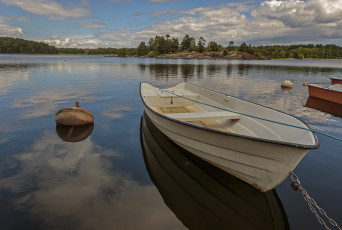 Картинка корабли лодки +шлюпки река лес