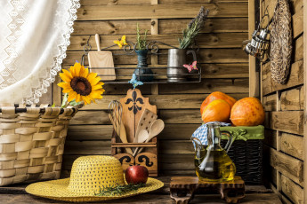 Картинка еда натюрморт шляпа масло кухня яблоко тыква подсолнух