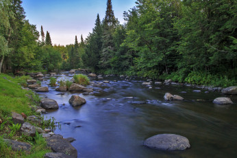 Картинка природа реки озера река лес