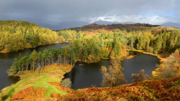 Картинка природа реки озера река лес