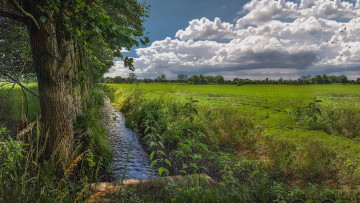 Картинка природа пейзажи ручей поле