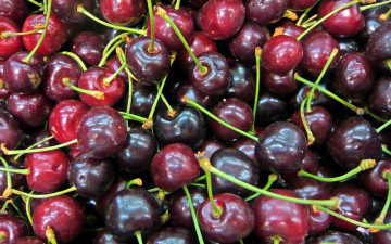 Картинка еда вишня +черешня ягоды много зрелая