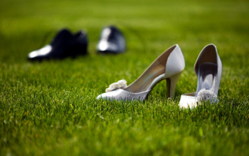 Картинка разное одежда +обувь +текстиль +экипировка туфли женские