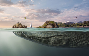 Картинка разное компьютерный+дизайн крокодил