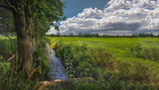 Обои картинки фото природа, пейзажи, ручей, поле