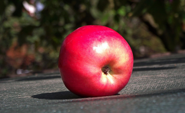 Обои картинки фото еда, Яблоки, румяное
