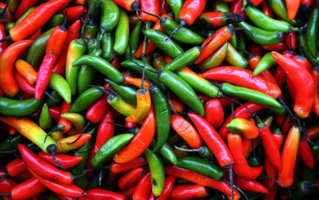 Обои картинки фото еда, перец, красный, зеленый, оранжевый