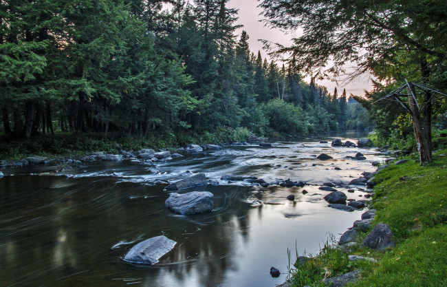 Обои картинки фото природа, реки, озера, река, лес