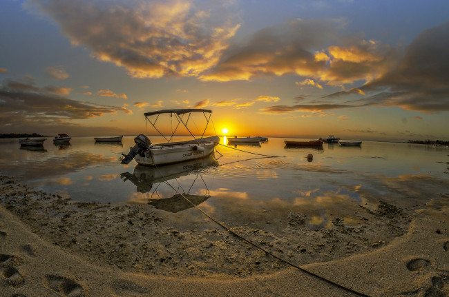 Обои картинки фото корабли, моторные лодки, река, лес