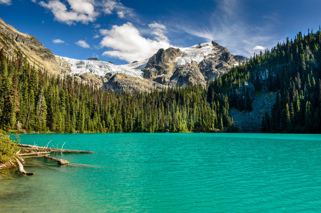 Обои картинки фото природа, реки, озера, лес, река