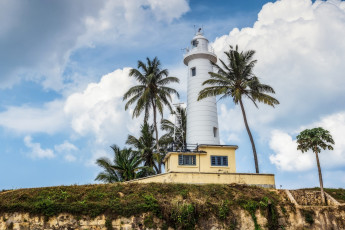 Картинка шри+ланка природа маяки облака пальмы