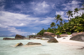 Картинка природа побережье море пляж