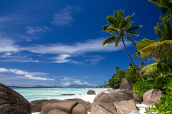 Картинка природа побережье пляж море