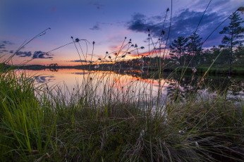 Картинка природа реки озера река лес