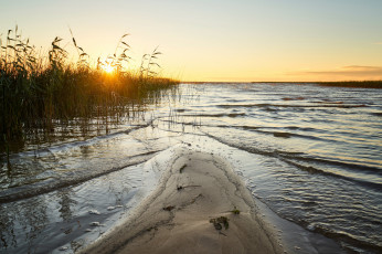 Картинка природа реки озера река лес