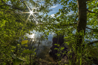 Картинка природа реки озера река лес