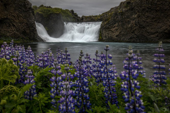 Картинка природа водопады river река вода waterfall rocks камни водопад water stream поток