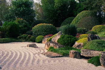 Картинка австралия природа парк камни трава песок кустарники деревья