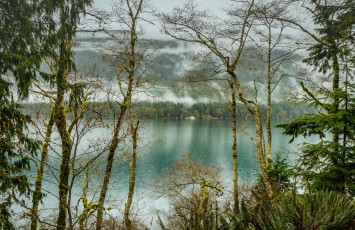 Картинка америка природа реки озера облака деревья водоем