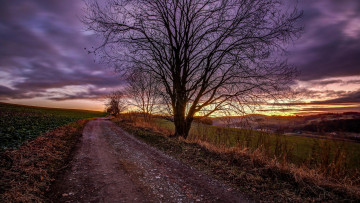 Картинка природа дороги деревья дорога поле пейзаж