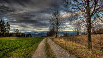 Картинка природа дороги деревья дорога поле пейзаж