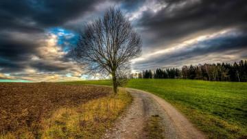 Картинка природа дороги дорога поле пейзаж деревья